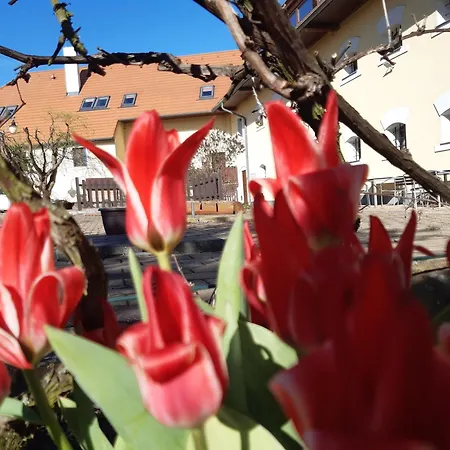Na Navsi Apartamento *